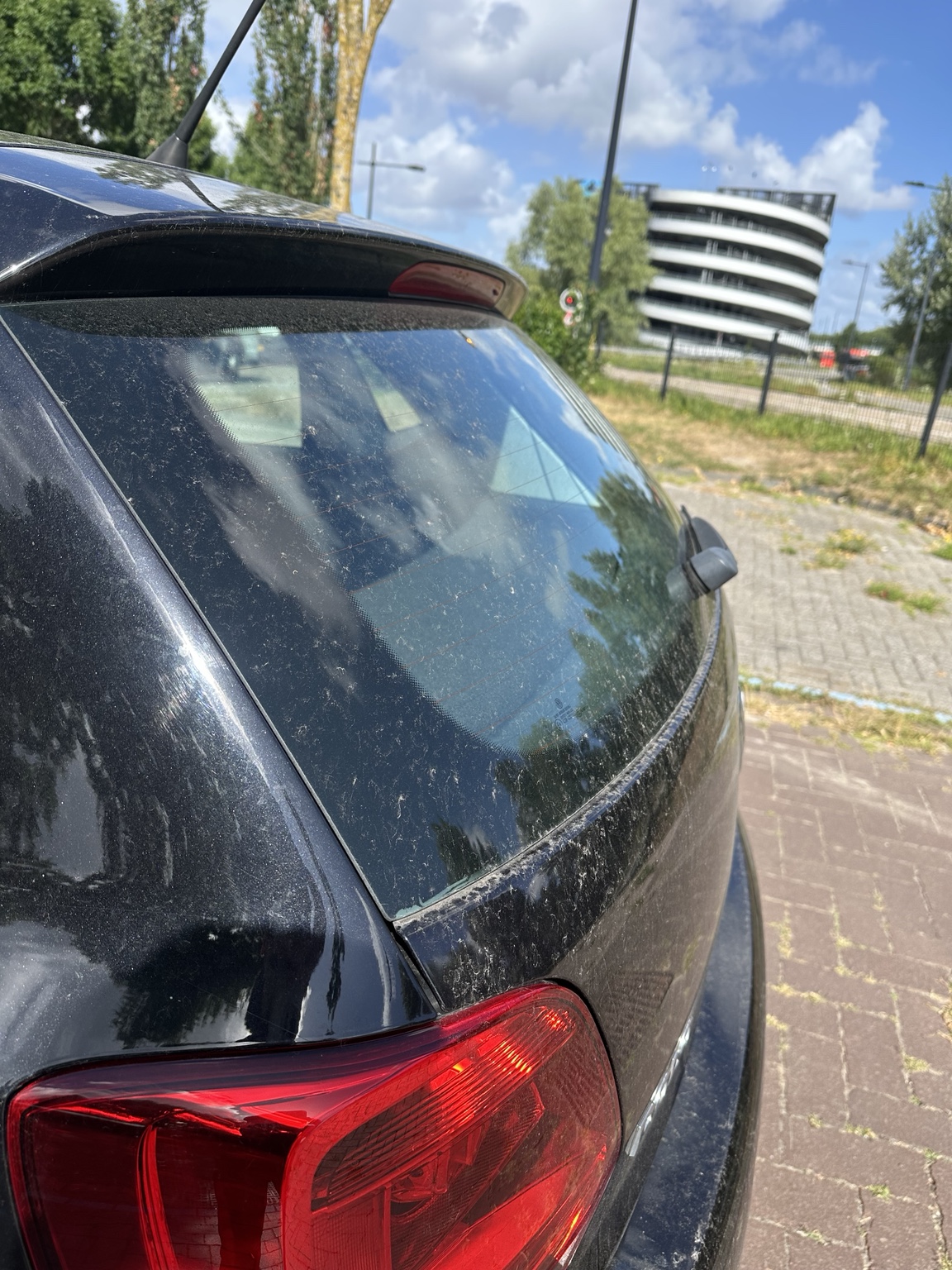 Golf — achterruit en achterzijde voor de behandeling